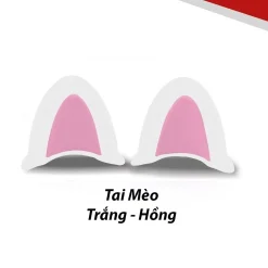 Tai mèo gắn mũ bảo hiểm